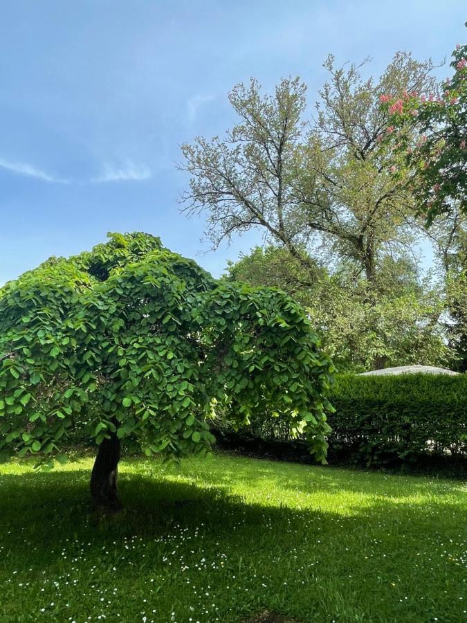 Villa Mura Gite Luxe Avec Piscine Et Spa Campagne Et Grand Air Nouvelle Aquitaine Correze Neuvic  Zewnętrze zdjęcie